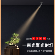 一束光8°小角度聚光射灯LED明装轨道可调角度酒店餐饮照明射灯