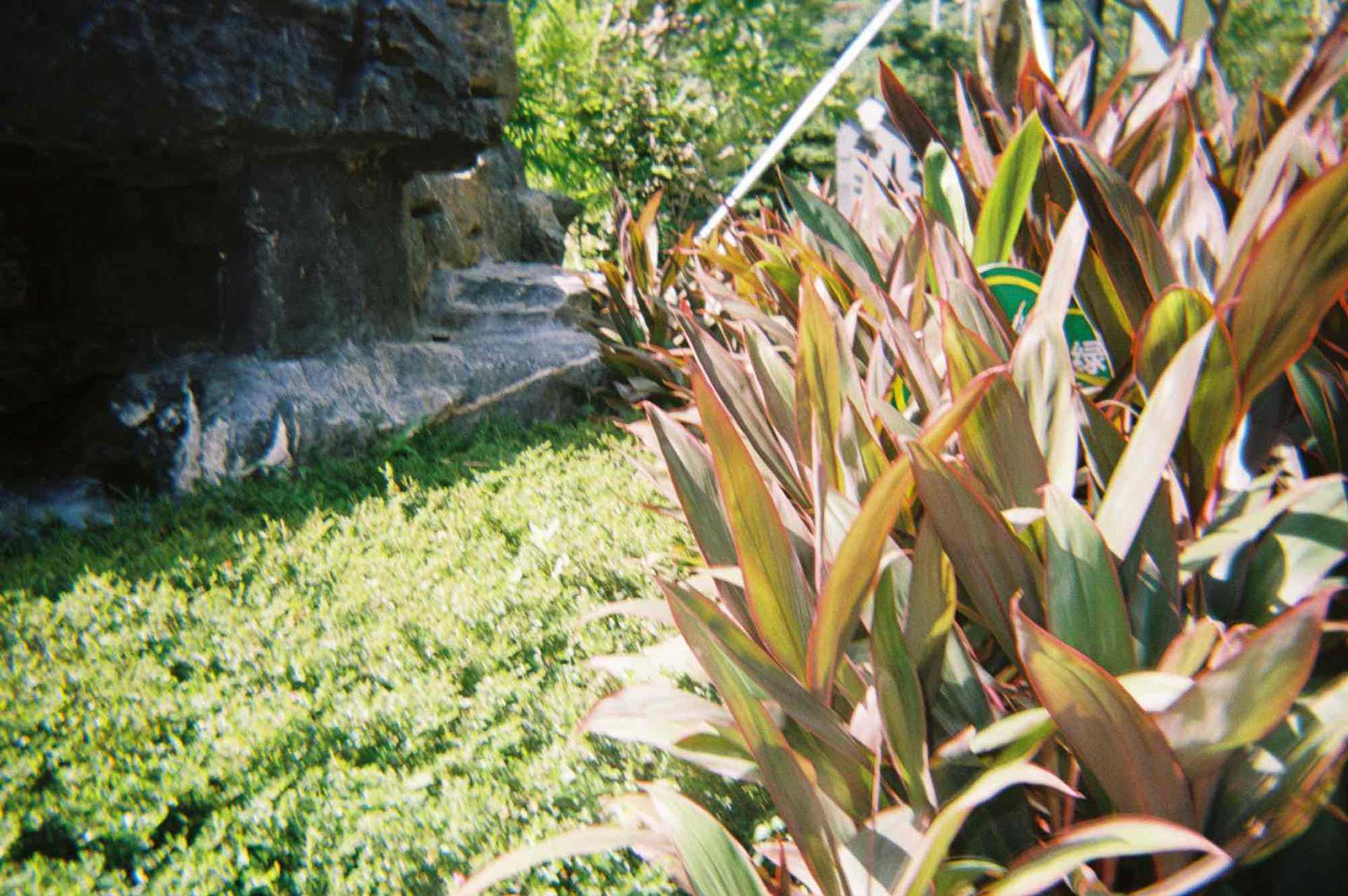 33BCB7F7-8A63-4F06-861A-408DB3