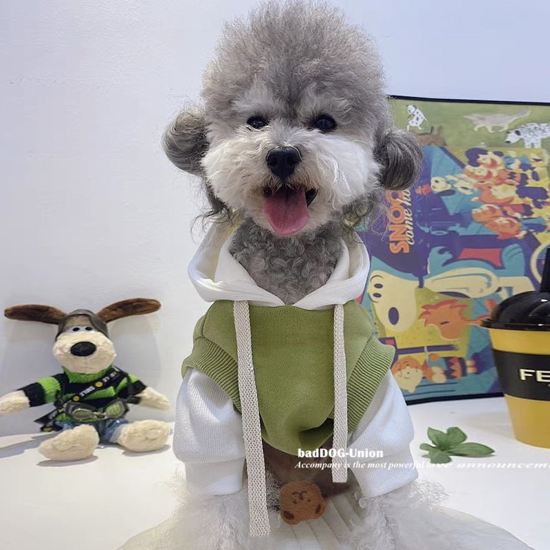 봄 여름 강아지 옷 트렌디 브랜드 탈피 방지 슈나우저 테디 비숑 포메라니안 찻잔 강아지와 고양이 옷 노란색 명예