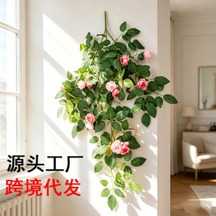 �羳õ��ڒ��õ�¼��Nޱ�����r�ձڒ�ٻ������b�����滨