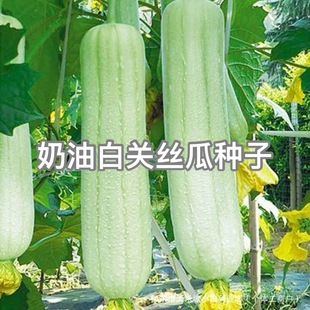 ���Ͱ��P�z�ϷN������̰��z�ϷN��������z�ϷN�ӻ��،��ýz�ϷN
