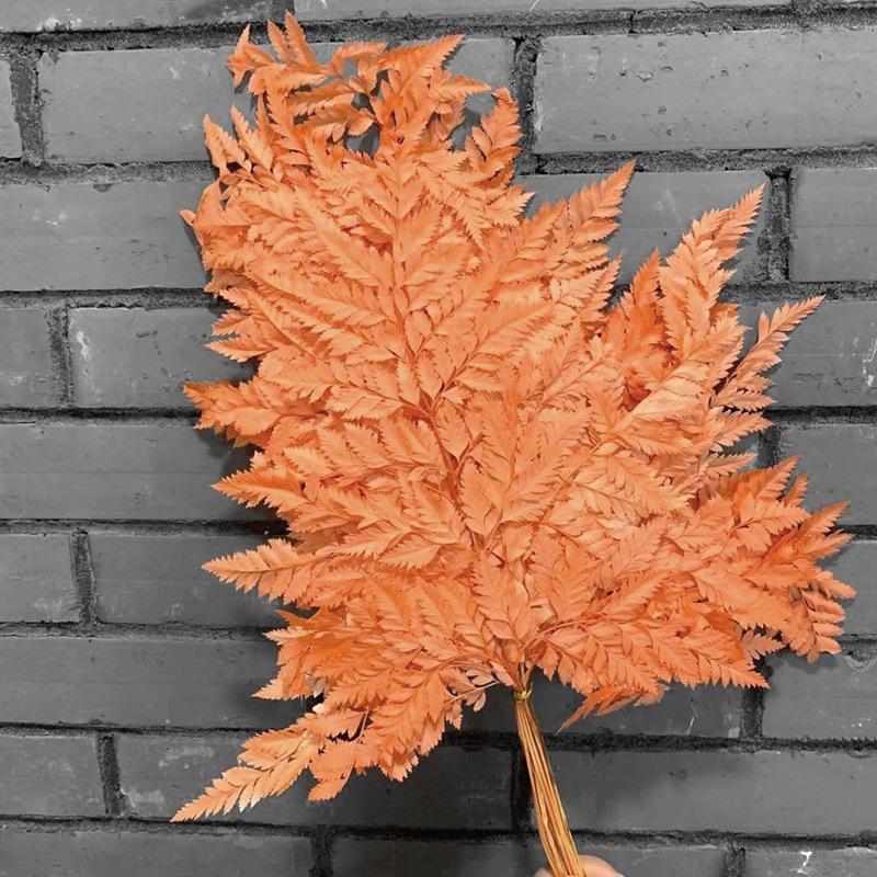 微信图片_20210308140908