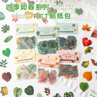 �羳�ļ��紺�~�����~�N����pet��ˮ�ز��b��N���~�֎��N���N��