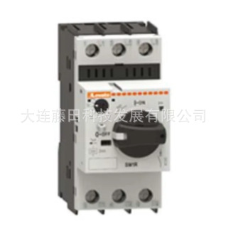 SM1R1000 SM1R0650 SM1R0400 SM1R0250 SM1Z1712P