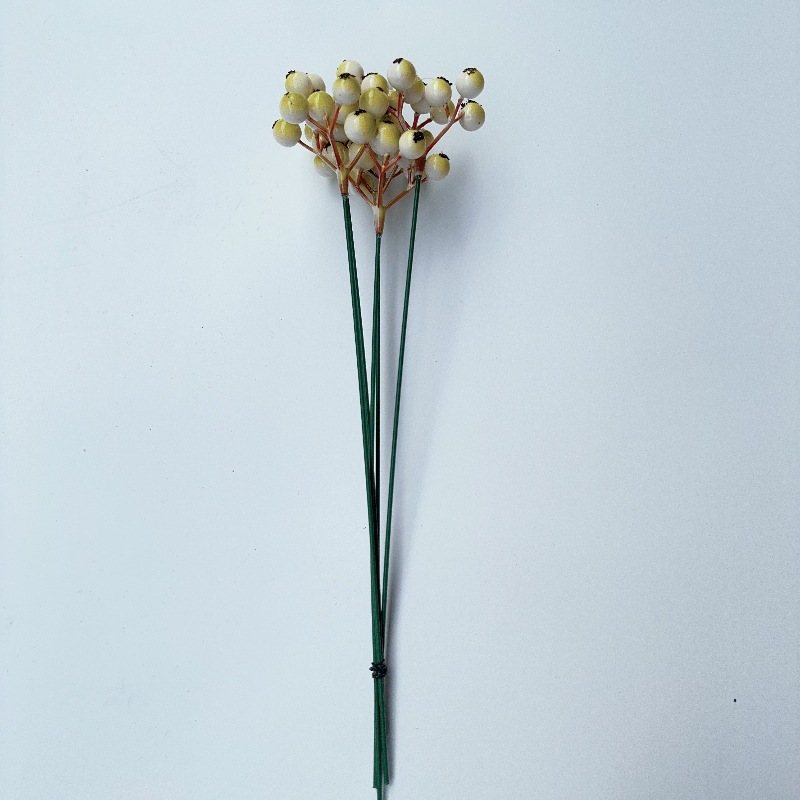 단일 거품 과일