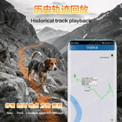 Device Remote Control Sound and – GPS Locator