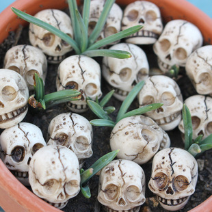 Cross-border New Smiley Skull Set 20 Resin Outdoor Courtyard Lawn Flower Pot Paving Stone Decoration Fish Tank Decoration