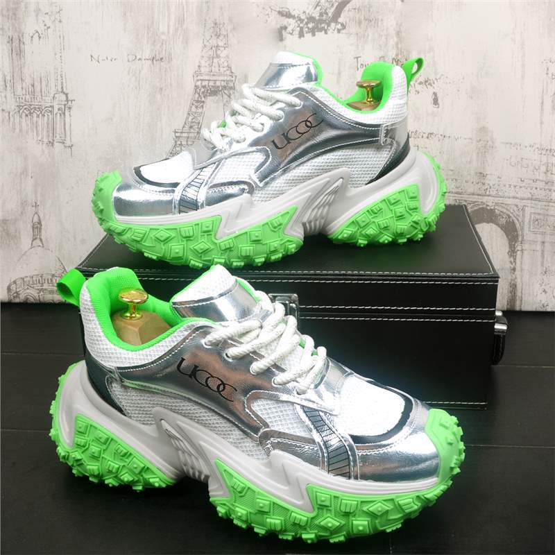 녹색 표준 모델