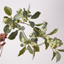 ���W�L����t�����}�Q�b����������ָй����~��@ҰȤ���ӔzӰ