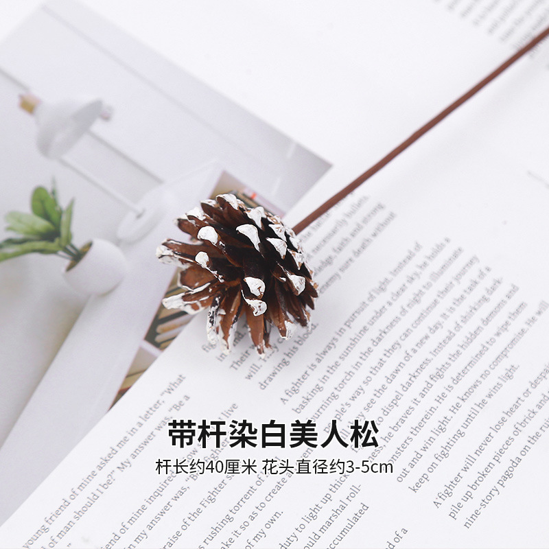 줄기로 염색된 하얀 아름다움 소나무