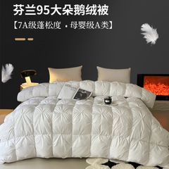 芬兰羽绒被95白鹅绒五星级酒店鹅绒被冬季被子被芯春秋加厚冬被