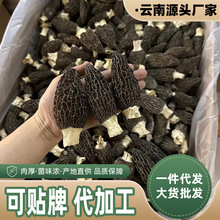 羊肚菌干货云南原产地批发价干菌一件代发规格齐全批发原产地直供
