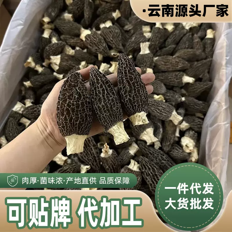 羊肚菌干货云南原产地批发价干菌一件代发规格齐全批发直供厚肉