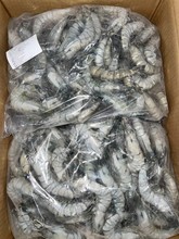 库存处理货黑虎龙虾老虎特大大虾新鲜无冰速冻海捕对虾批发商