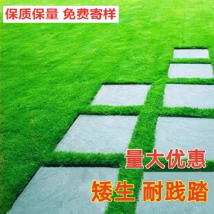 ��ƺ���ѷN���ļ��������޼��o�¹����G����Ƥ����������é������