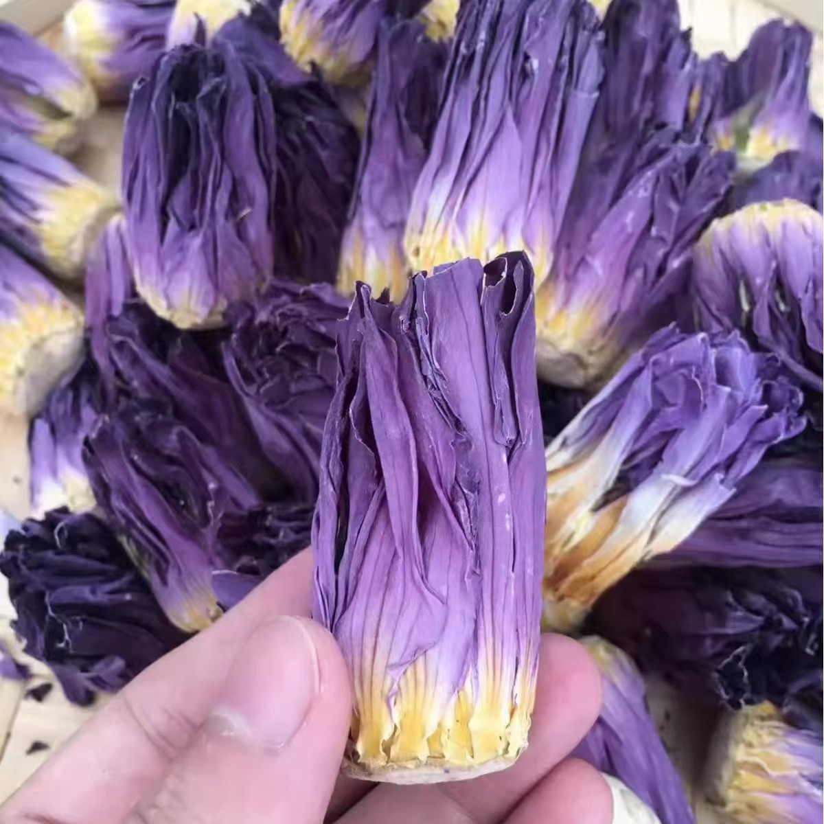 Nine-Grade Fragrant Water Lily Flower Tea (Nymphaea) — Yellow & Purple Herbal Infusion key features