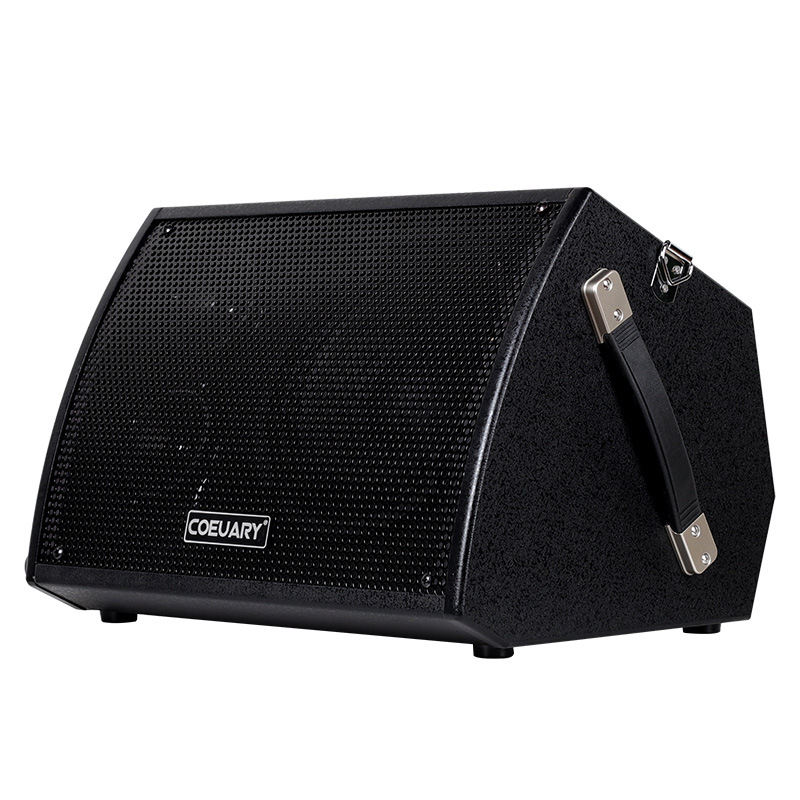 Coeuary Professional Musical Instrument Speaker Guitar Speaker with Bluetooth and Rechargeable Function