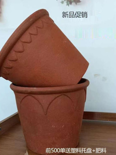 �t�ջ����մɴ�����ˮ������ݮ�绨�����С̖��ʽ�����踡����Ʒ