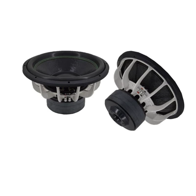 inch woofer dual voice — Car speaker/subwoofer