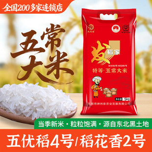 �峣���׵��������僞����̖���׬Fĥ10��/20�ﾎ�����S�����l