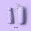Lavender Purple