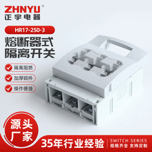 HR17-250-3 200A/3/300 250A/3/300�۔���ʽ���x�_�P���~о