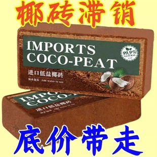 Coconut Brick Nutrient Soil for Growing Flowers, Succulents and Green Plants, Factory Direct Sales Type Coconut Bran Desalted Coconut Soil, Universal