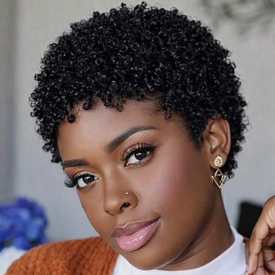 Short Afro Kinky Curly Human Hair Wig Xuchang Real Human Hair African Curly Wig