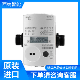 LANDIS & GYR Smart Grid Terminal S650 Active and Reactive Energy