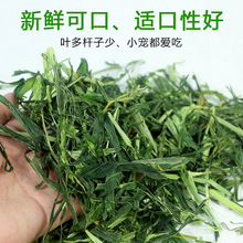 �����������؈���Ӻ��m�i�������ݸɲ���ϴ����ݶ�10kg