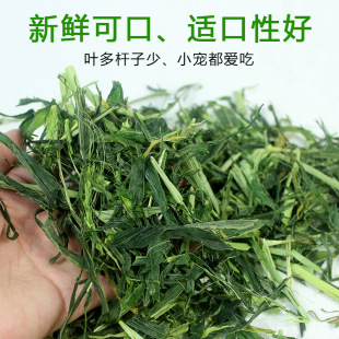 �����������؈���Ӻ��m�i�������ݸɲ���ϴ����ݶ�10kg