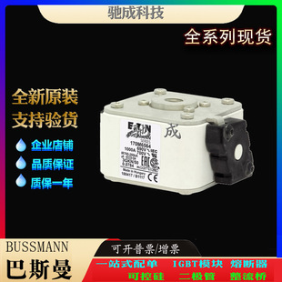 Bassman 170m6564 170m6565 170m6566 Spot Supply Wholesale and Retail High-Speed Fuse