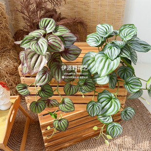 ����Gֲ3D��ӡ�����~ �ڒ�ֲ��ٻ����������b[��ֲ����