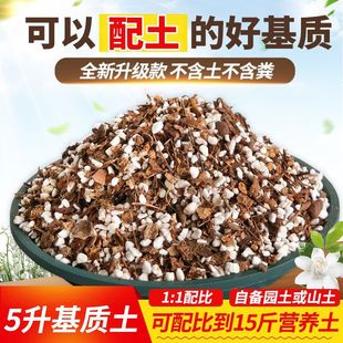 ������|�ЙC�I�B��ͨ���ͻ���������ò�̿�N���N�����Nֲ������