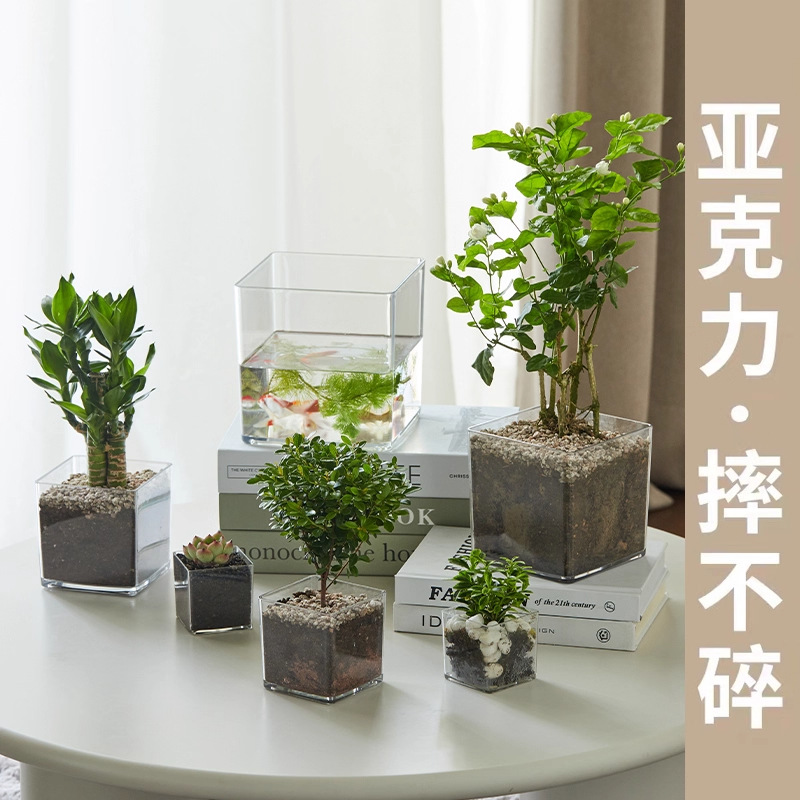 亚克力方形防摔透明直筒款圆形花瓶多肉仙人掌花盆客厅水培绿植皿