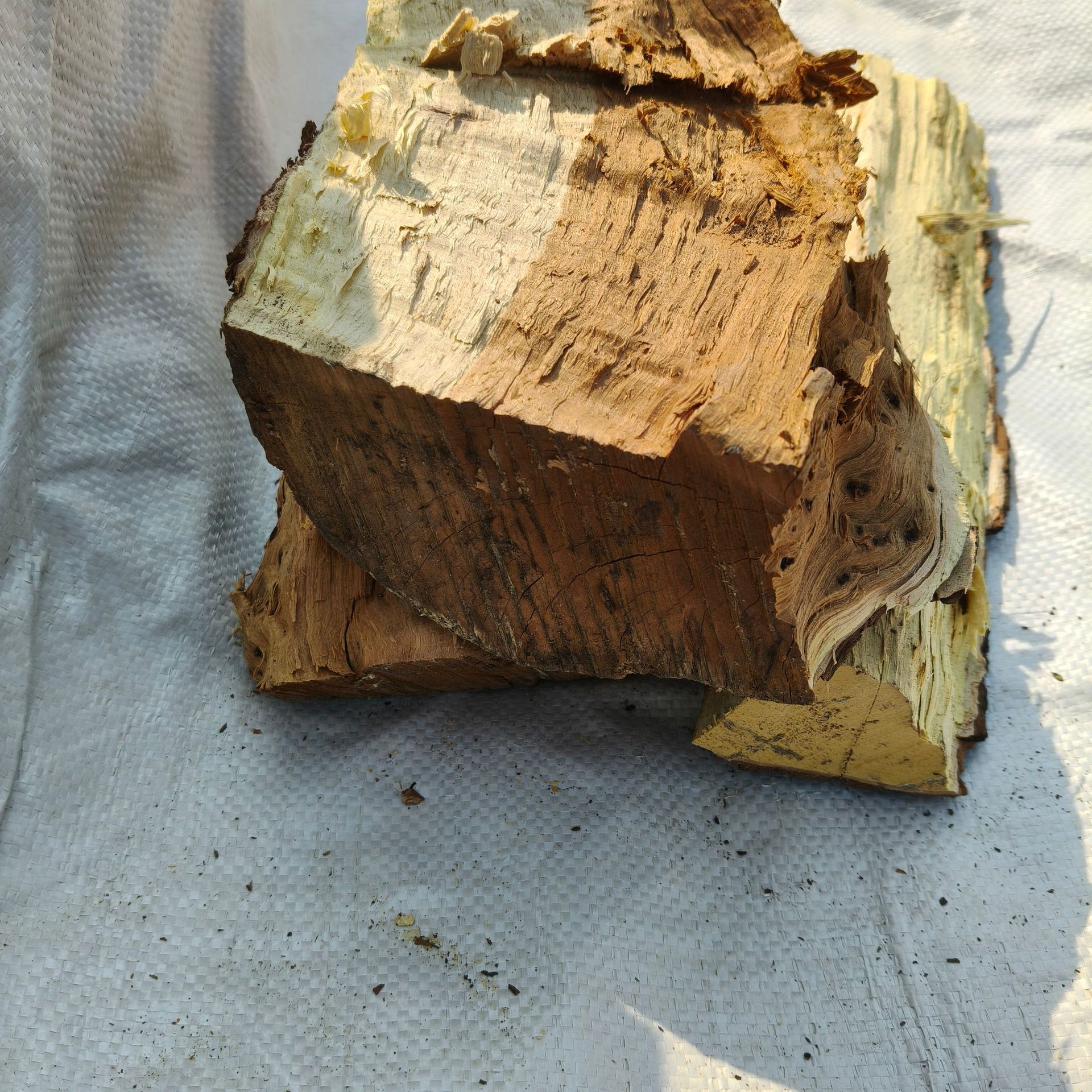 微信图片_20250529093746