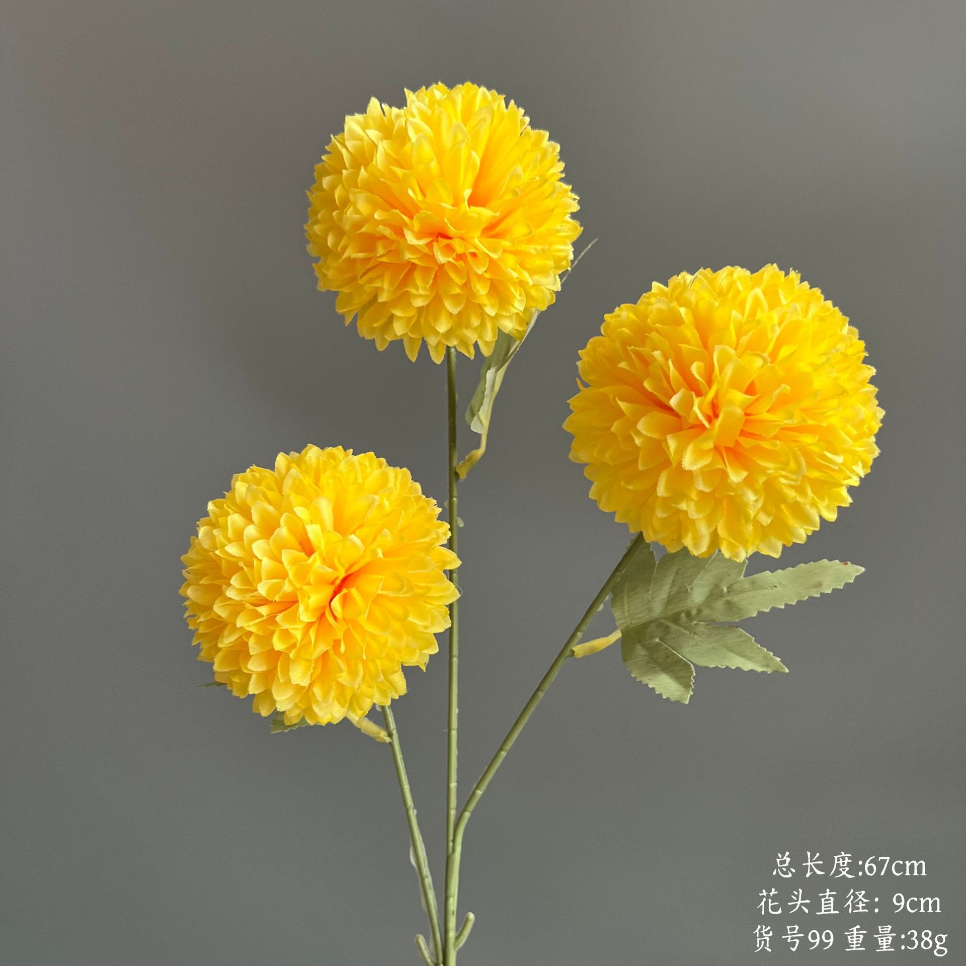 품목번호 99-삼두대구국화