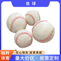 ソフトボール小学生専用子供投げソフトボール運動会標準軟式野球装備試合トレーニングソフトボール