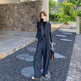 跨境感马甲套装女初秋季新款韩系气质通勤阔腿裤两件套
