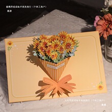 �̎����R�������w�������I�옷���ώ�����Y��3���w�ֹ��T���� ��