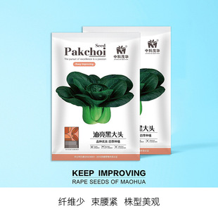 �п�ï�A�߲˷N���ļ��Ͳ˷N���ѷN�߲˷N���������ڴ��^�๣�˷N