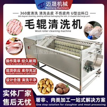 全自动商用毛辊清洗机 毛辊毛刷清洗去皮机 猪头猪蹄清洗设备厂家