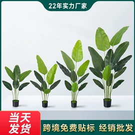 仿真绿植;仿真枝叶和树;仿真蕨类