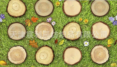 Room Decoration Painting Hanging Painting — Avtomobil döşəmə paspasları - kitchen-mat-02-5080cm