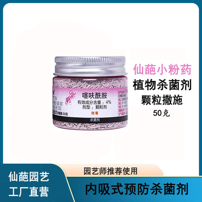 仙葩4%噻呋酰胺小粉药纹枯病药剂小粉瓶植物土壤杀菌剂50克