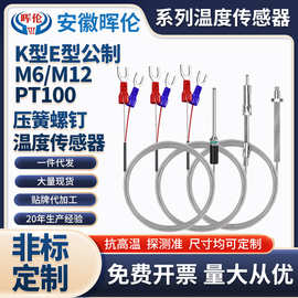 k型E型高温热电偶温度传感器m6螺钉式压簧式测温仪温控pt100探头