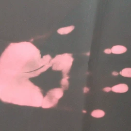 尼龙面料;涤纶面料;其他化纤面料