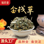 金钱草  大叶金钱草中草药广西野生今年新货泡水泡茶喝