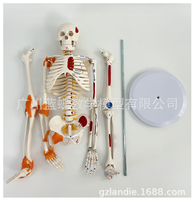 详情_26