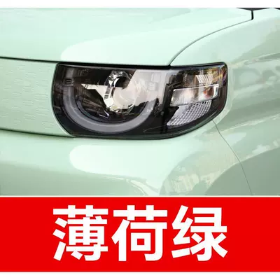 19. Chery car touch-up paint Avtomobil boya qələmləri - buy-one-get-two-1-coat-of-color-paint-1-coat-of-brightening-polish-plus-a-free-toolkit-cleaning-cotton-and-applicator-brush-mint-green